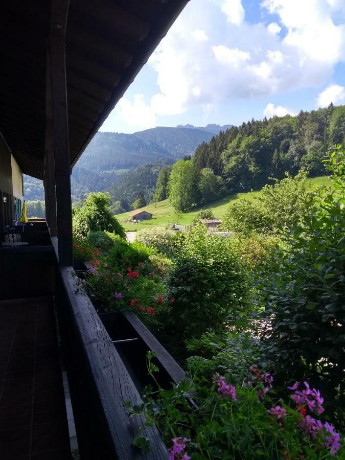 Fewo Chiemsee Spezial Aschau im Chiemgau Exterior photo